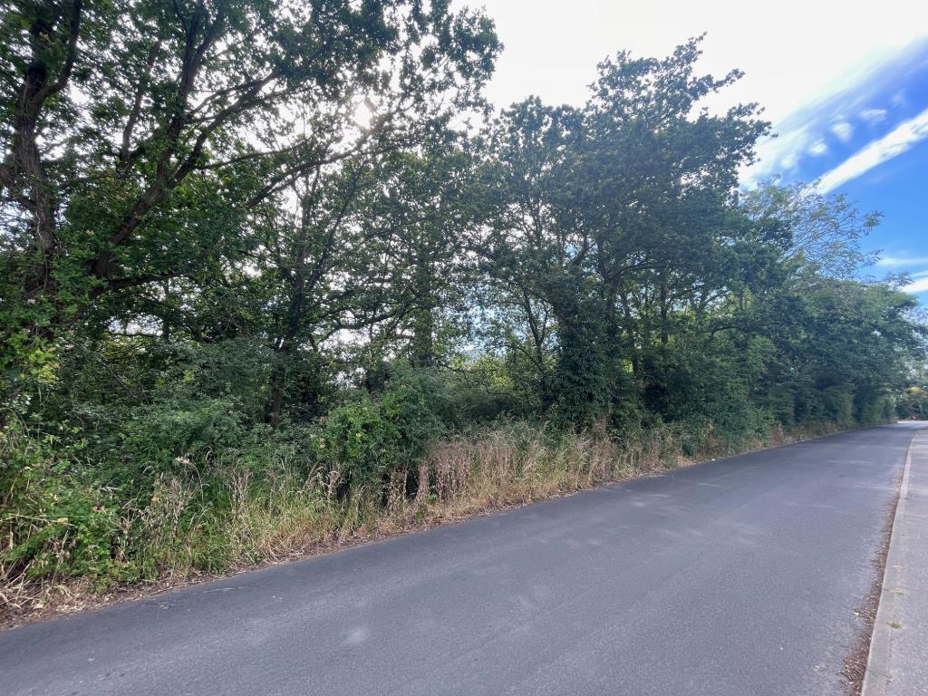 Lot: 27 - APPROX THREE ACRES OF FREEHOLD LAND - View of the road frontage along Church Road